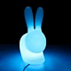 outdoor garden light